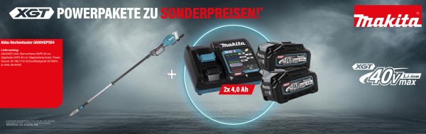 Makita Akku-Hochentaster UA004GZ + Power Source-Kit 191L77-9 (inkl. Schnellladegerät DC40RA + 2x Akk